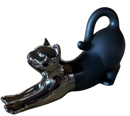 Chat en Noir Mat